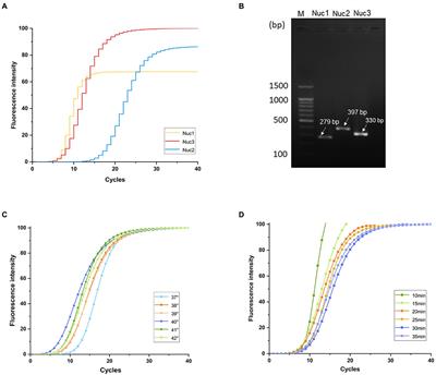 Rapid detection of Staphylococcus aureus using a novel multienzyme isothermal rapid amplification technique